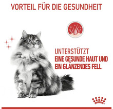 Katzenfutter trocken ROYAL CANIN Hair & Skin 400 g