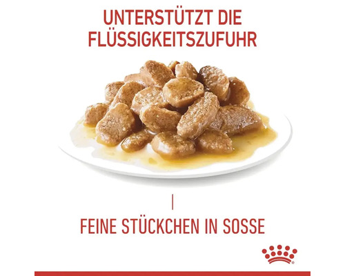 Katzenfutter: Fleischstücke in Sosse zur Unterstützung der Flüssigkeitszufuhr