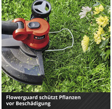 Einhell Rasentrimmer im Einsatz auf einer Rasenfläche