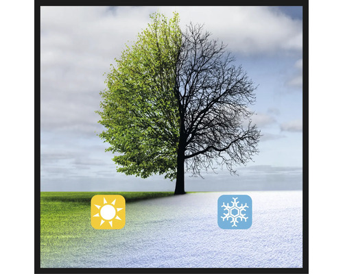 Bild, das die Jahreszeiten Frühling und Winter mit einem Baum, einer Sonne und einer Schneeflocke darstellt