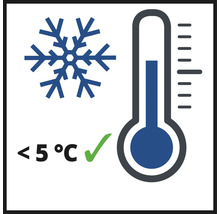 Symbol für Lagerung unter 5 Grad Celsius