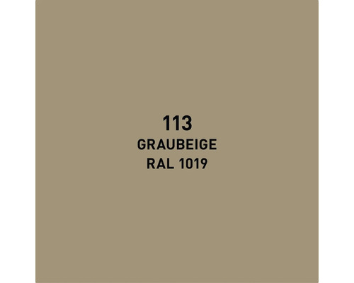 Farbmuster Graubeige Farbtonnummer 113, RAL 1019
