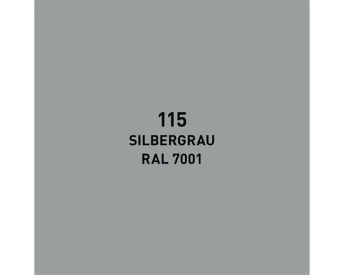 Farbmuster silbergrau RAL 7001