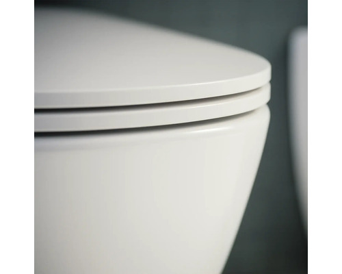 Nahaufnahme einer Toilette mit Toilettendeckel