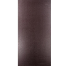 Siebdruckplatte Eukalyptus 2440x1220x12 mm-thumb-1