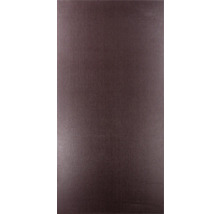 Siebdruckplatte Eukalyptus 2440x1220x15 mm-thumb-3