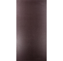 Siebdruckplatte Eukalyptus 2440x1220x18 mm-thumb-2