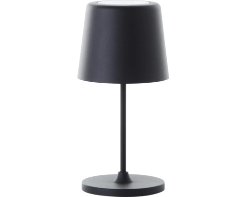 Lampe de table LED fixe 2 W
noir