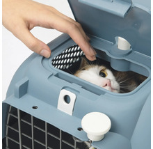 Chat dans une cage de transport avec une porte grillagée et une personne ouvrant le couvercle