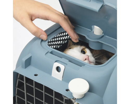 Chat dans une cage de transport avec une porte grillagée et une personne ouvrant le couvercle