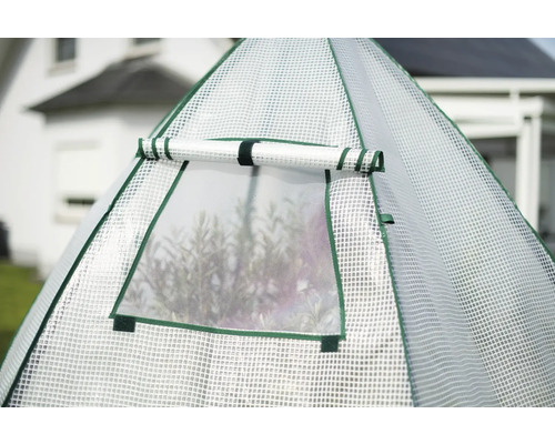 Gros plan sur une serre avec fenêtre