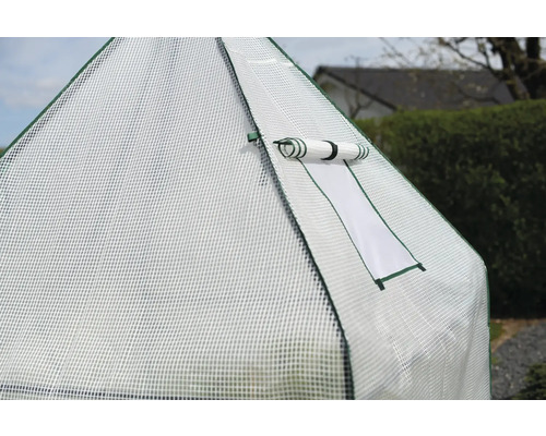 Vue détaillée d''une serre avec une fenêtre ouverte pour la ventilation