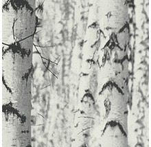 Tapete mit Birkenwaldmuster