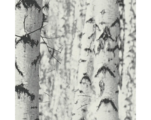 Tapete mit Birkenwaldmuster