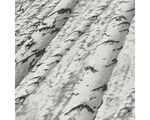 Nahaufnahme eines Tapetenmusters mit Birkenstämmen