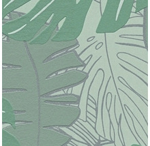 Papier peint avec motif de feuille de Monstera