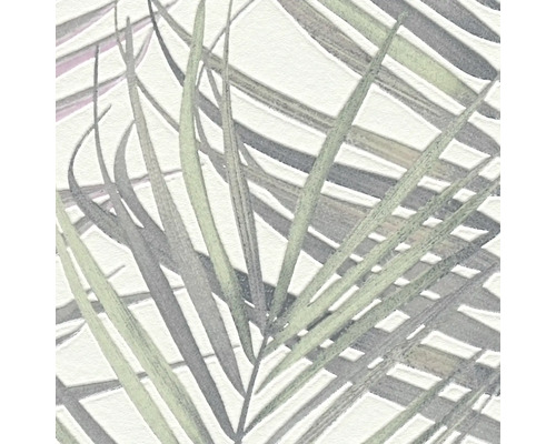 Papier peint à motif de feuilles de palmier