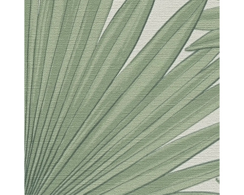 Gros plan d''un papier peint avec un motif de feuille de palmier