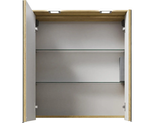 Armoire de toilette ouverte avec deux étagères en verre et éclairage