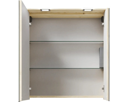 Armoire de toilette ouverte avec deux étagères en verre et éclairage intégré