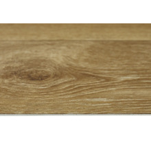 PVC-Boden Maxima Holzdielenoptik Eiche hell 662M Dielen 17x150 cm 200 cm breit (Meterware)
