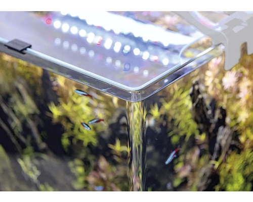 Gros plan d''un aquarium avec des plantes, des poissons et de l''éclairage