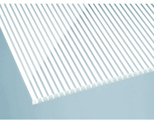 Plaque alvéolaire en plastique