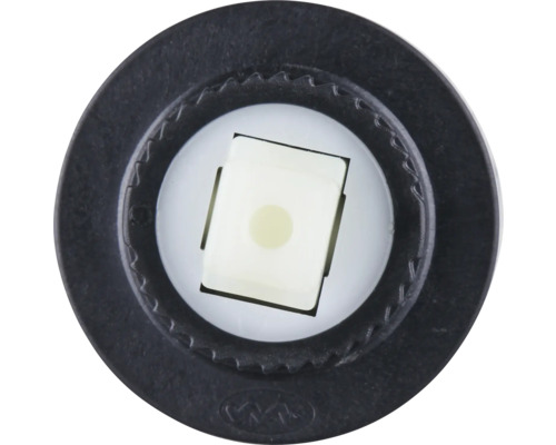 LED-Lampe mit schwarzem Sockel