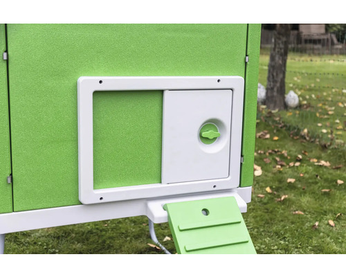 Gros plan d''un poulailler avec porte et rampe