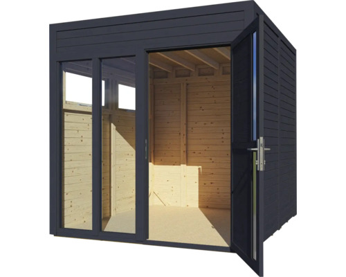 Abri de jardin moderne avec porte ouverte et façade en verre