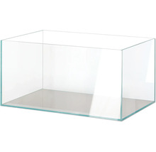 Leeres Glasaquarium für Fische und Pflanzen