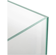 Detailansicht eines Glasaquariums.