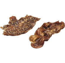 Deux morceaux de friandise pour chien
