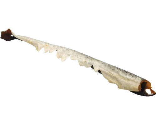 Angelköder in Fischform