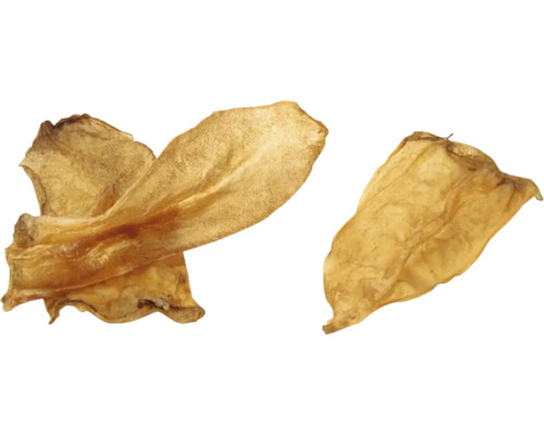 Deux oreilles séchées comme friandise pour chien