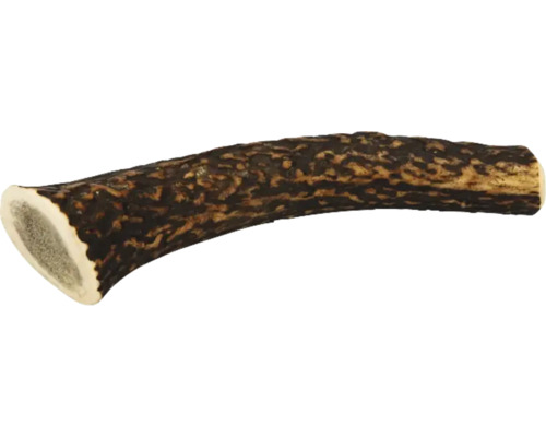 Hirschgeweih-Rohling