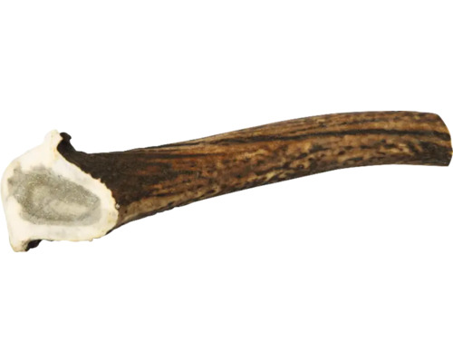 Hirschgeweih-Kauartikel für Hunde