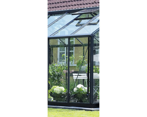 Serre avec plantes et fenêtres ouvertes.