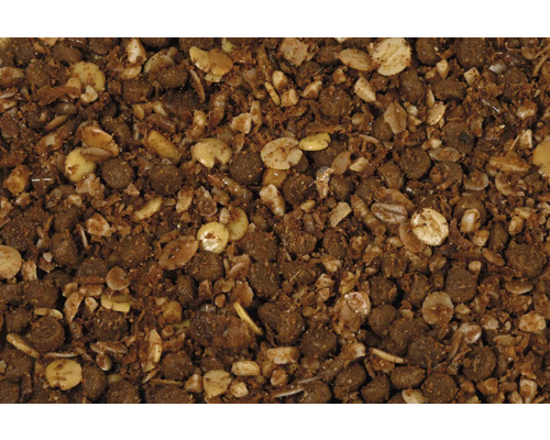 Gros plan sur des graines pour oiseaux avec des graines, des céréales et des granulés.