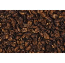 Teichfischfutter dobar Seidenraupen, 780g-thumb-1 Teichfischfutter dobar Seidenraupen, 780g-thumb-1