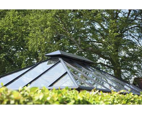 Construction de toit en verre devant des arbres