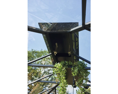 Vue détaillée d''une fenêtre de serre avec mécanisme d''ouverture et plante suspendue.