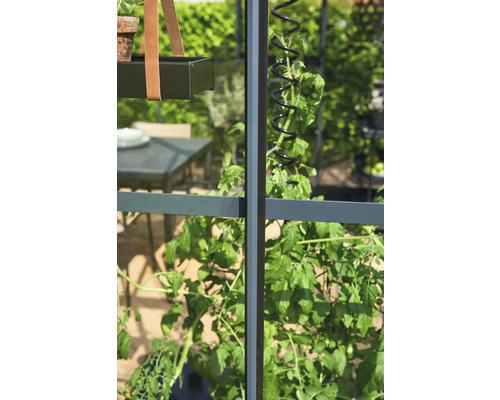 Vue détaillée d''une serre avec support pour plantes et treillis