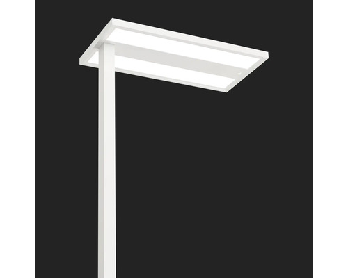 Lampe d''extérieur LED blanche pour éclairage de jardin