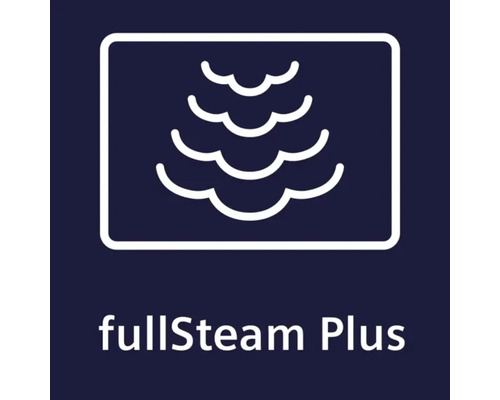 fullSteam Plus Symbol