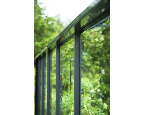 Detailaufnahme eines Gewächshauses mit Aluminiumrahmen und Verglasung.