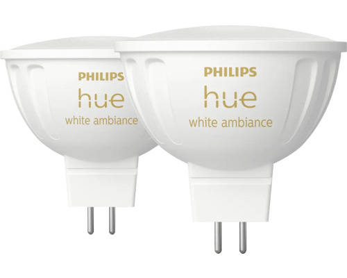 Deux ampoules Philips Hue White Ambiance
