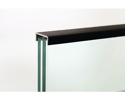 Glasplatte mit Befestigungsprofil