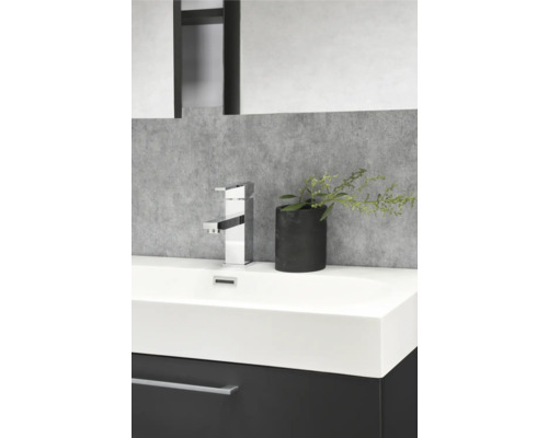 Modernes Badezimmer mit Waschbecken, Armatur und Pflanze im Topf