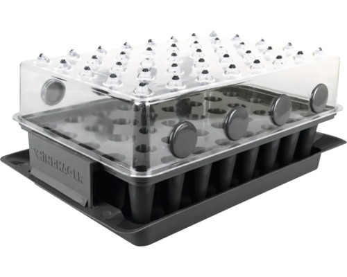 Serre d'intérieur Windhager Précurseur de racines 3 en 1 RootXtender, kit composé de 3 pièces avec bac de fond, plateau de semis et couvercle Pour cultiver jusqu'à 40 petits plants, env. 38 x 16 x 24 cm Mini-serre avec couvercle transparent pour la culture de plantes